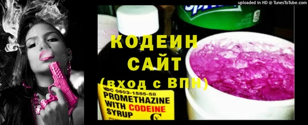 сатива Лабытнанги