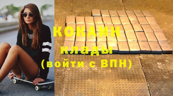 молекула духа Арсеньев