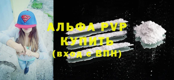 молекула духа Арсеньев