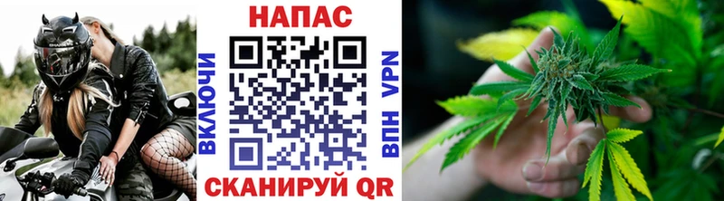 Купить где  Алексеевка  Бошки марихуана тримм 
